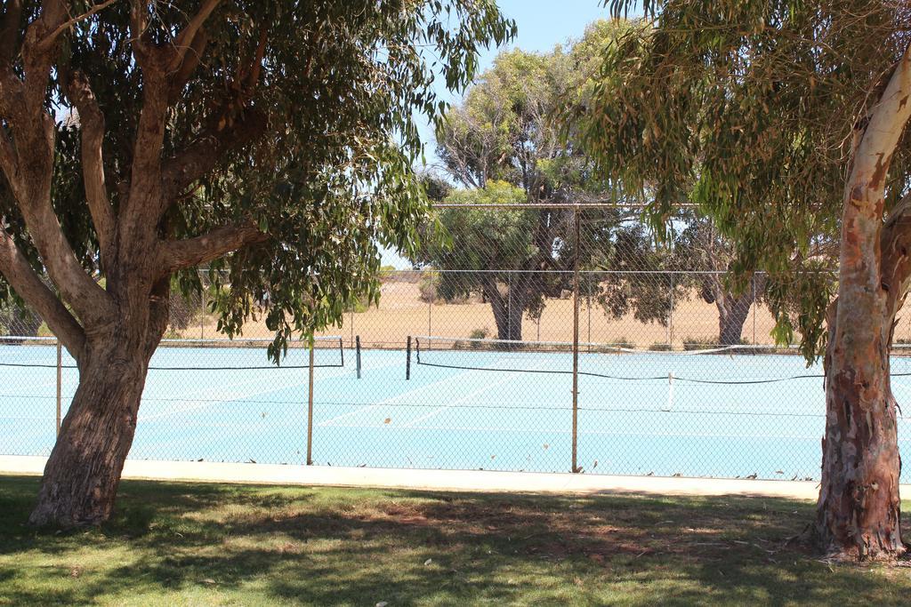 Horrocks Beach Caravan Park Εξωτερικό φωτογραφία